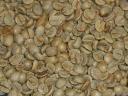 Caffea arabica roh