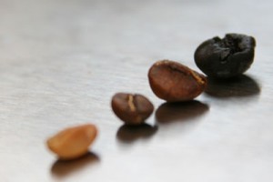 Rösten für Espressoblends › Wolfredo